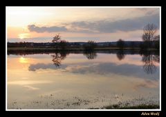 Aus dem Tümpel wird ein See