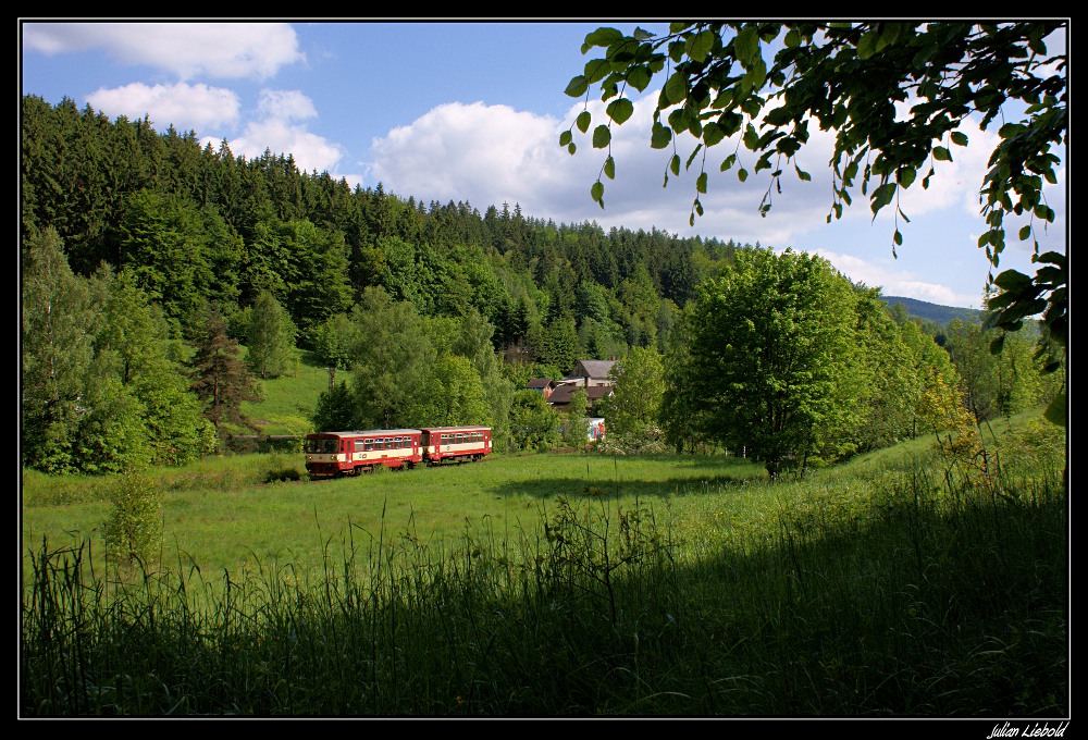 Aus dem Unterholz heraus...