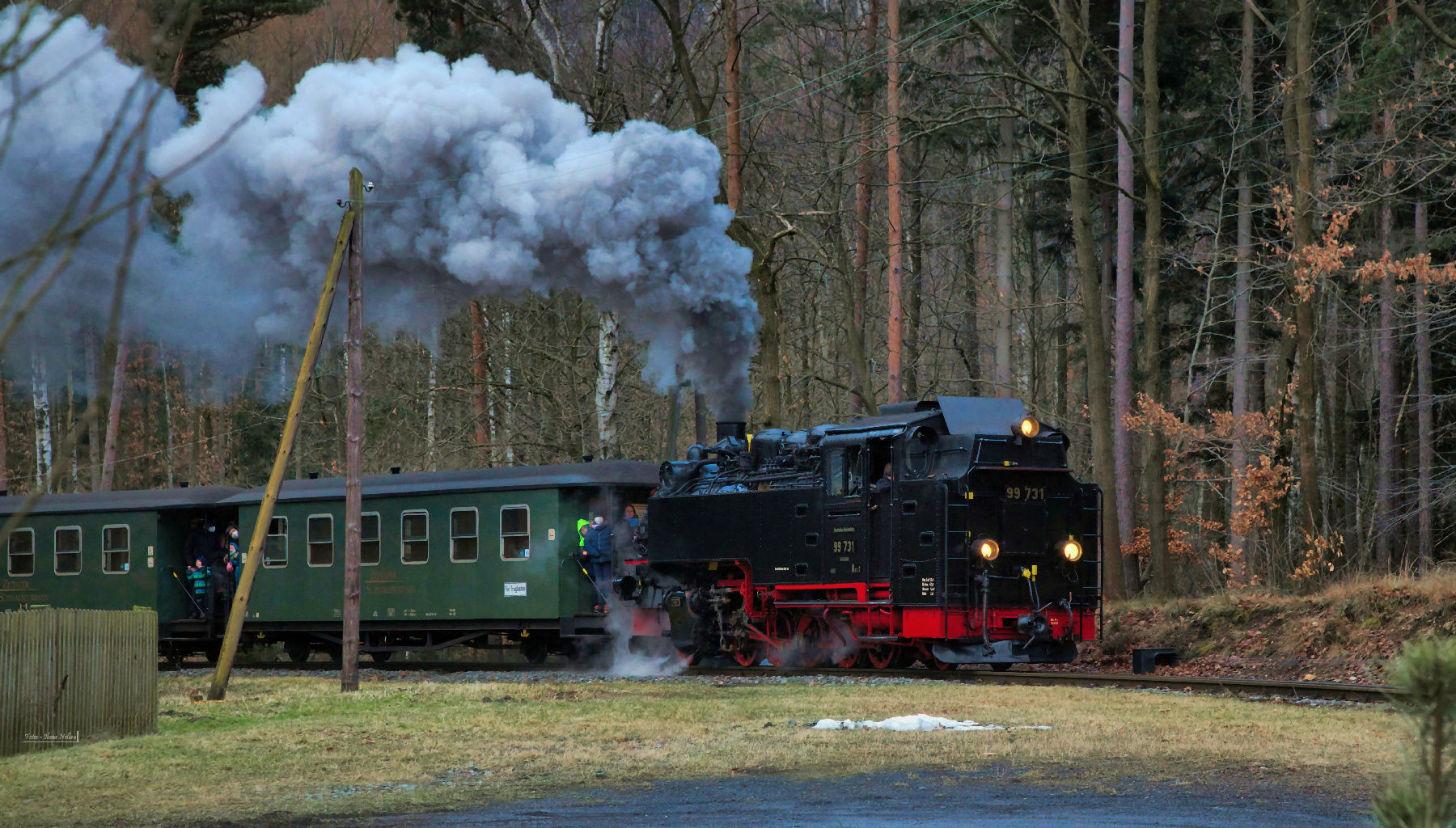 Aus dem Wald