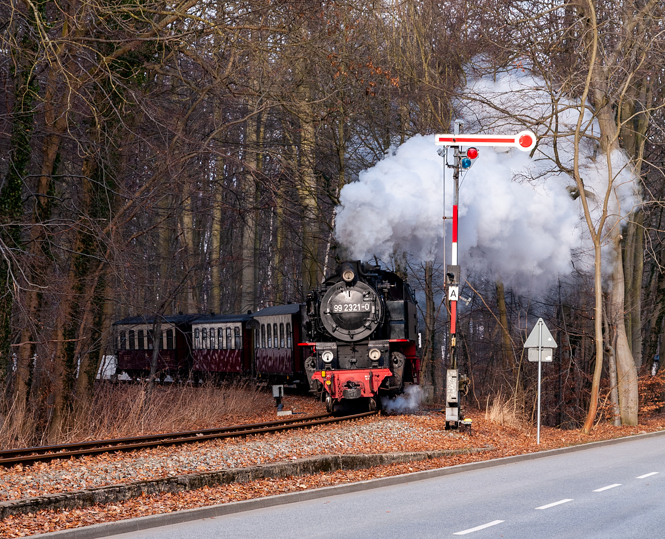 Aus dem Wald