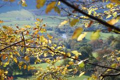 Aus dem Wald Blick auf die Fulda