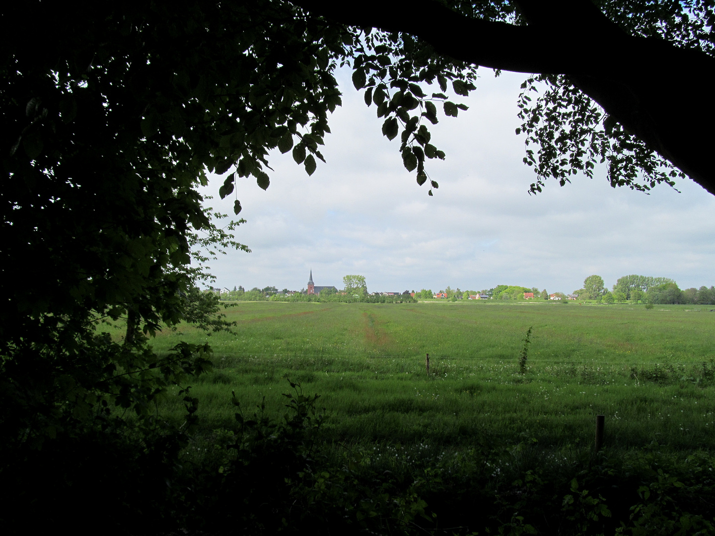 Aus dem Wald geschaut !