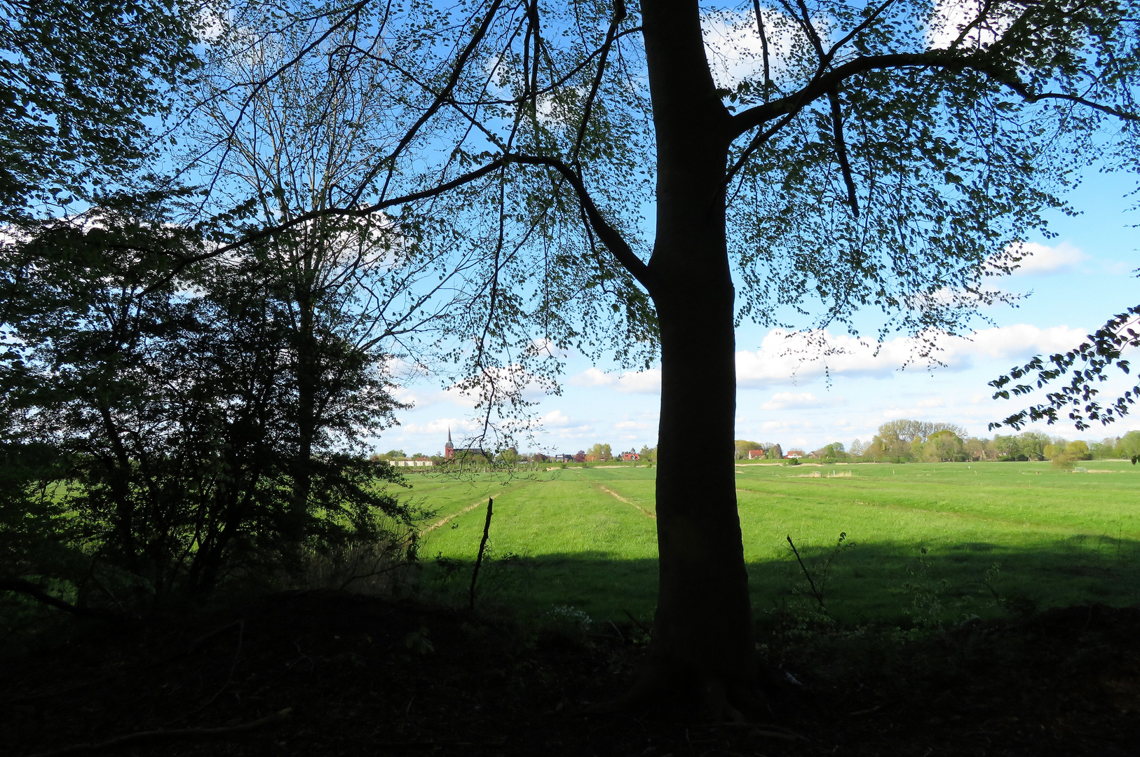 aus dem Wald herraus geschaut ... 