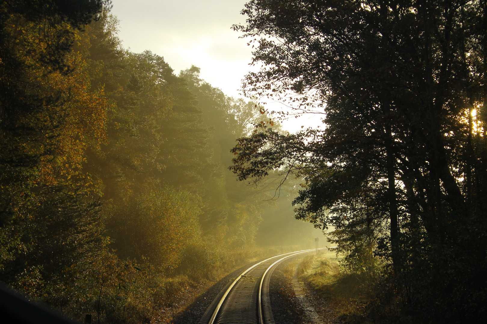 Aus dem Wald in die Sonne