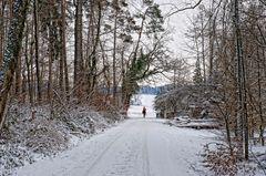 Aus dem Wald - Ritt