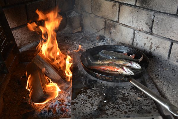 12 - Feuer Bilder & Fotos