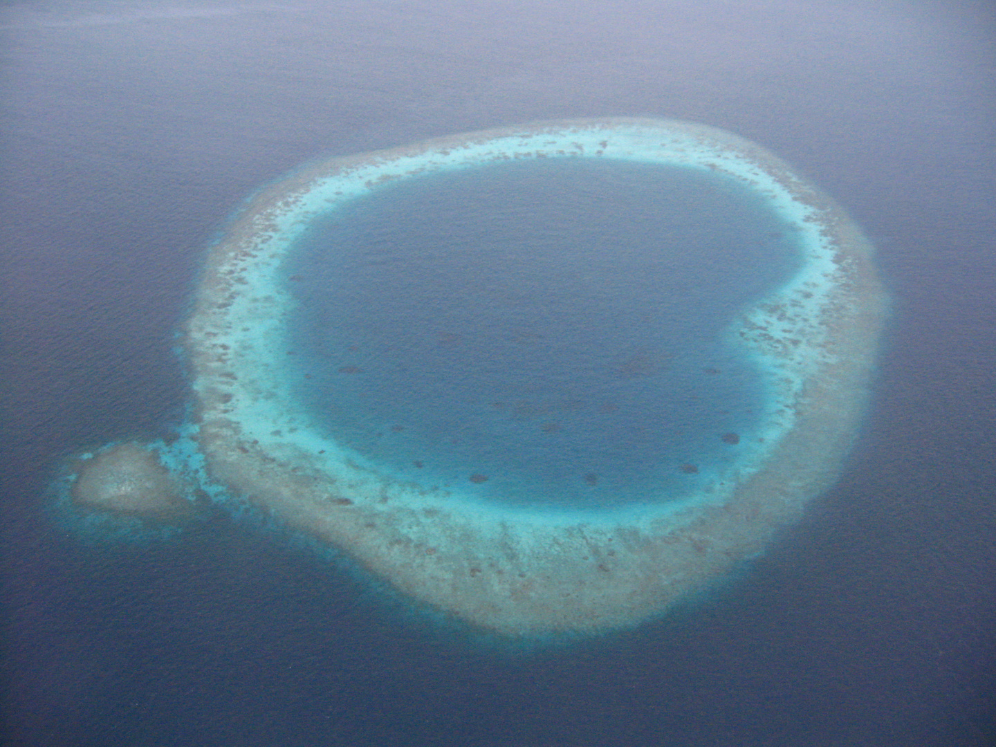 Aus dem Wasserflugzeug