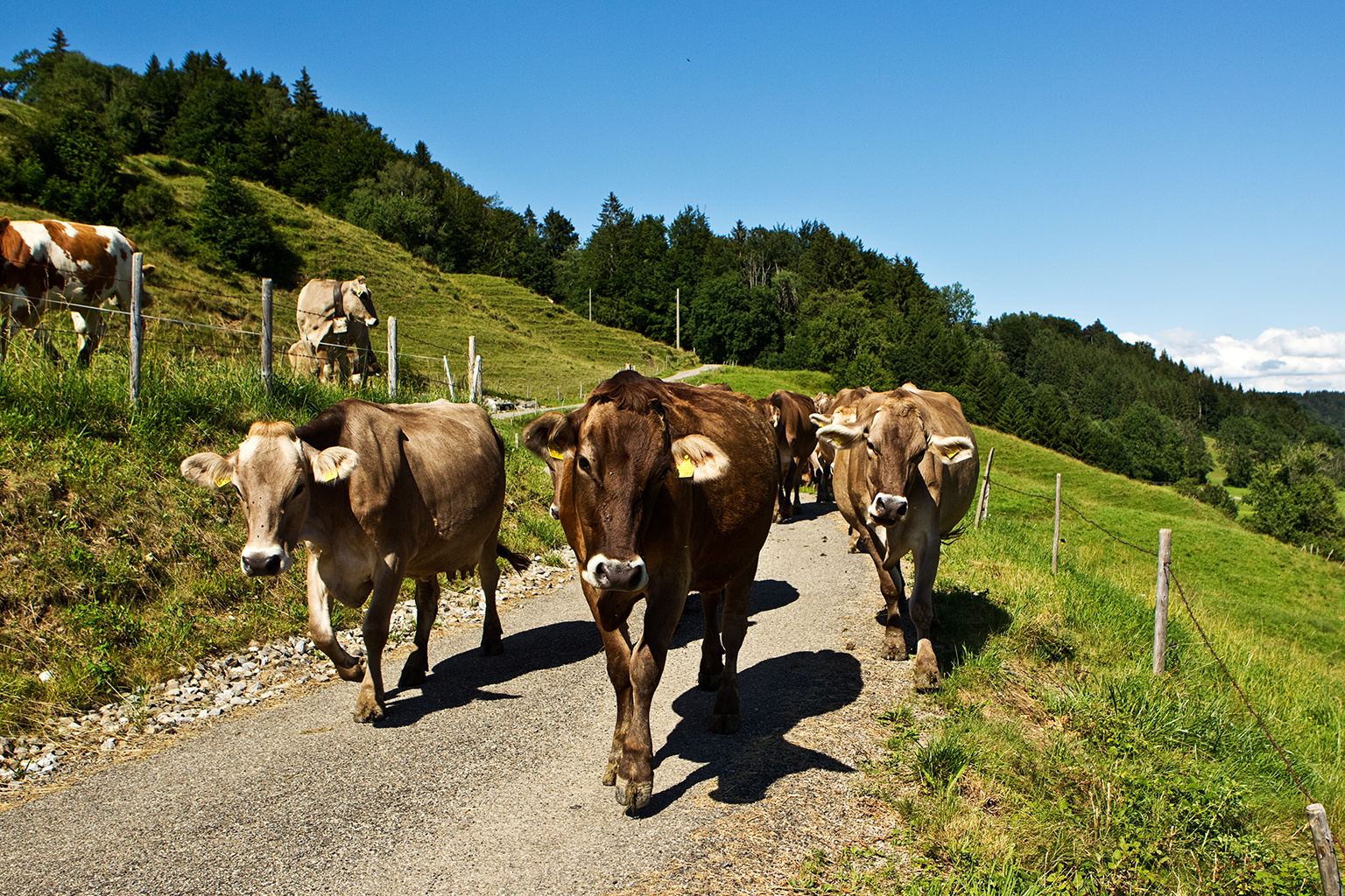 Aus dem Weg!