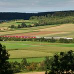 Aus dem Wettelsheimer Keller I