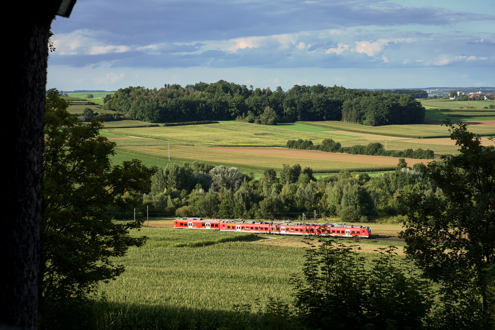 Aus dem Wettelsheimer Keller II