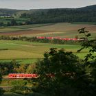 Aus dem Wettelsheimer Keller IV