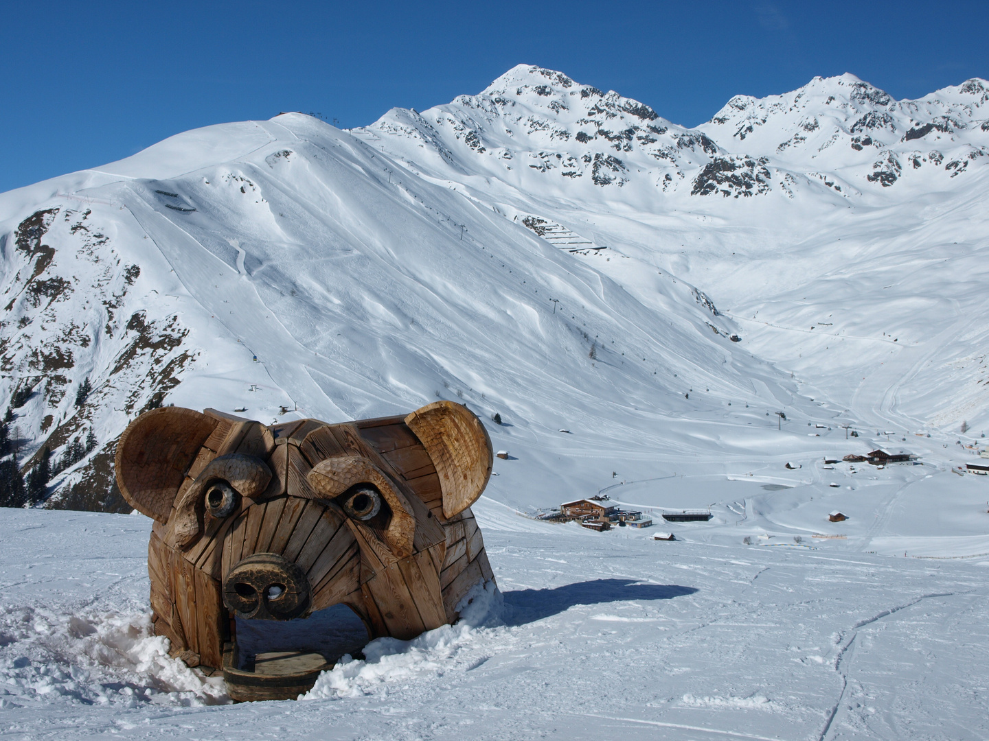 Aus dem Winterschlaf erwacht.