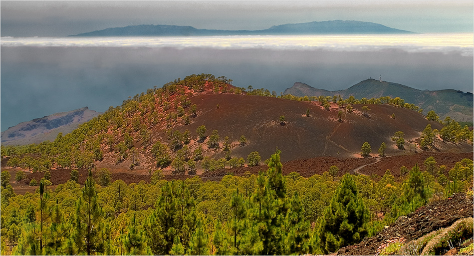 Aus dem Wolkenmeer erhebt sich La Palma