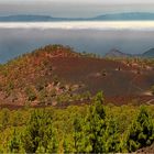 Aus dem Wolkenmeer erhebt sich La Palma