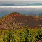 Aus dem Wolkenmeer erhebt sich La Palma