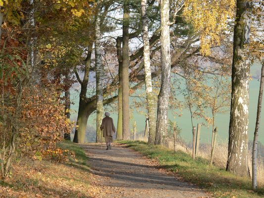 Aus dem Zyklus, Wege der Christine B.