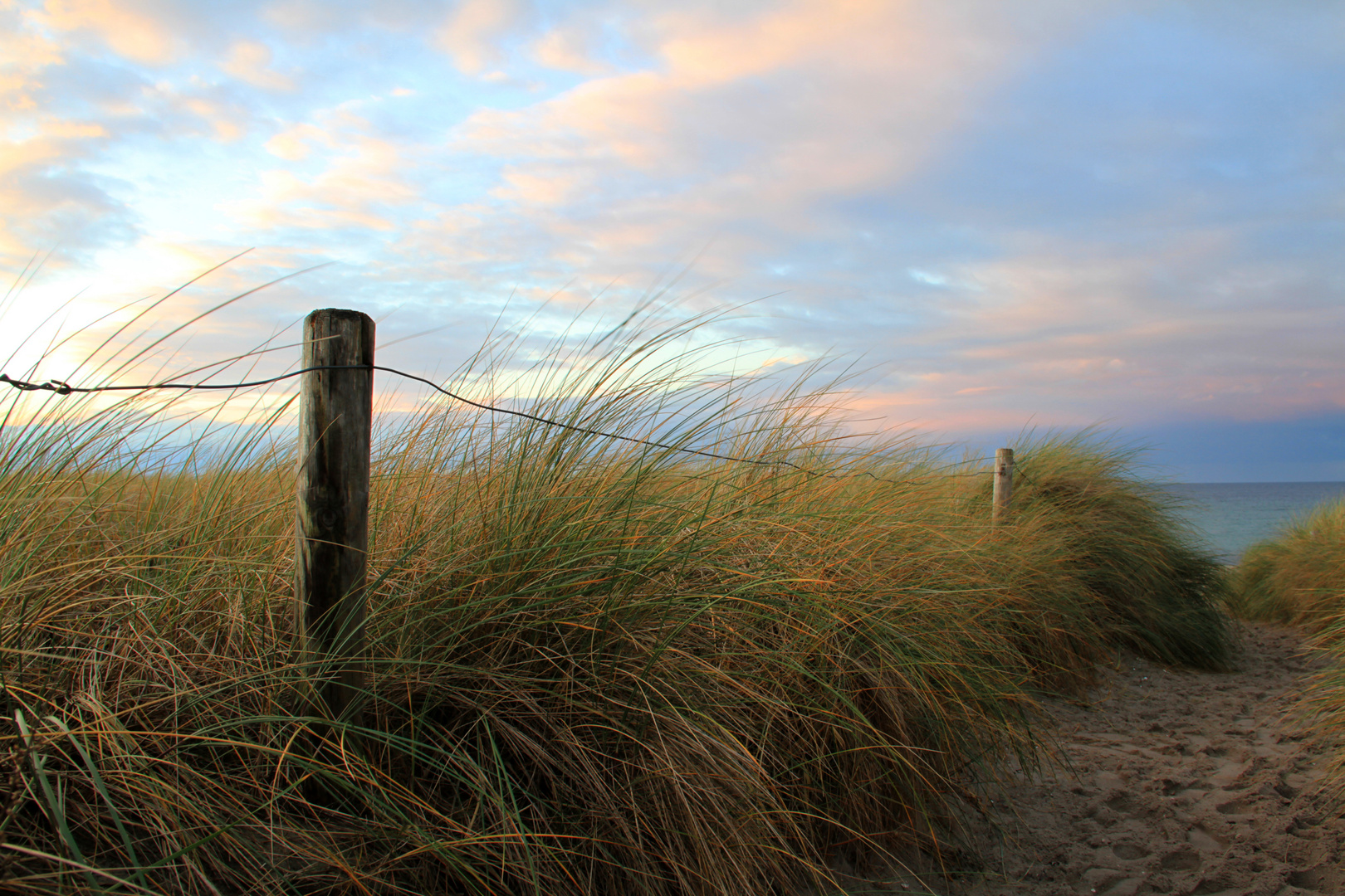 Aus den Dünen heraus