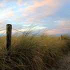 Aus den Dünen heraus