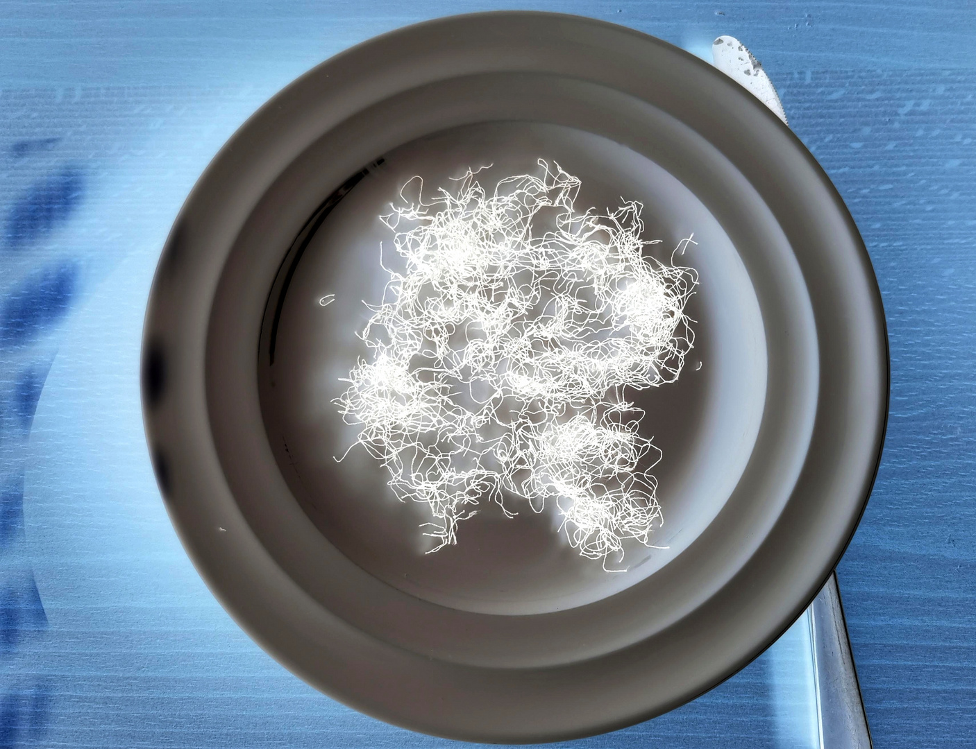 Aus den schwarzen Fäden werden weiße Fäden Foto & Bild deutschland, europe, rheinlandpfalz