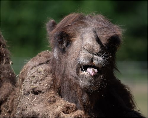 Aus den Tiefen der Festplatte ans Licht gekommen.....