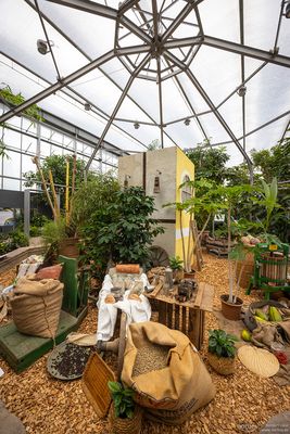 "Aus den Tropen auf den Tisch"