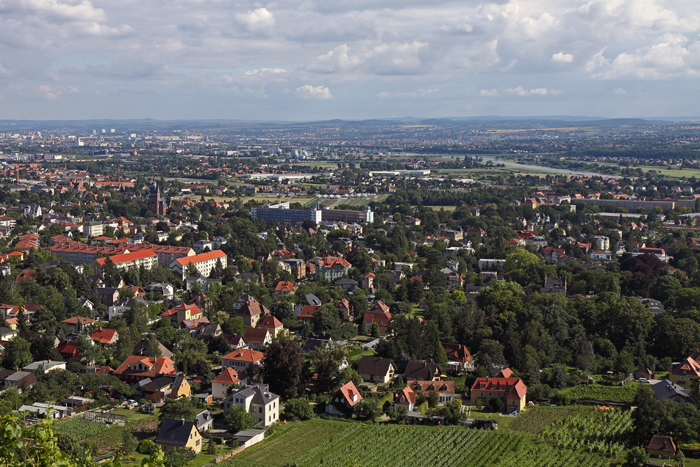 Aus den Weinbergen in Radebeul