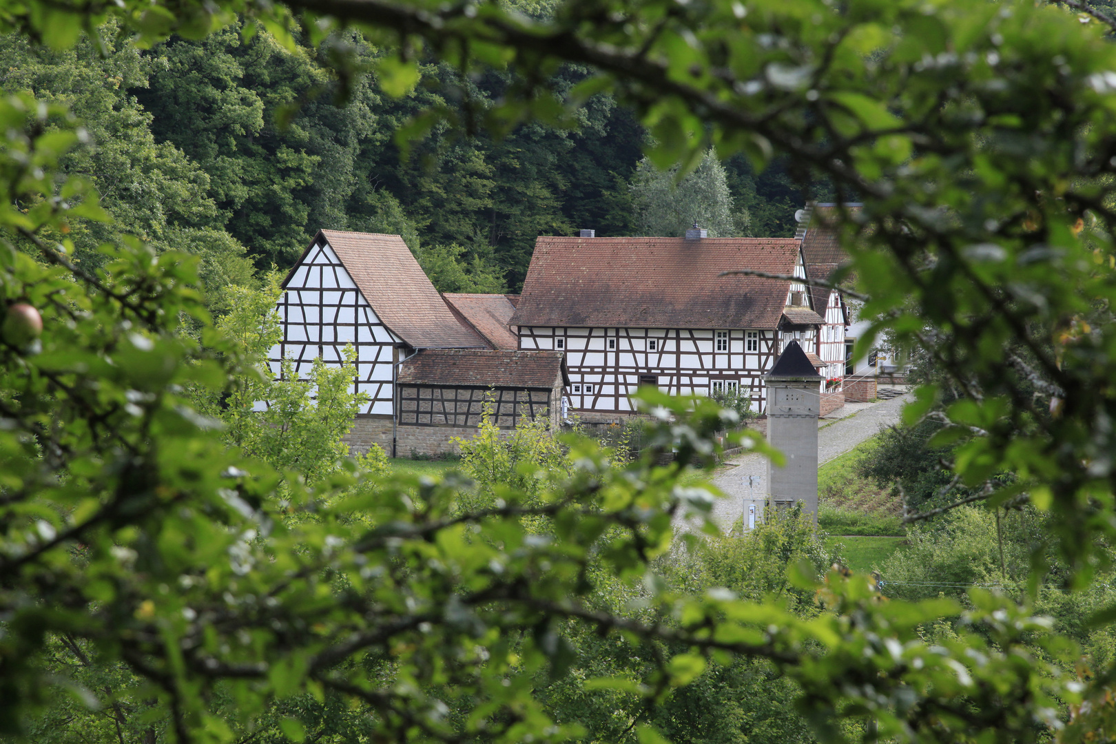 Aus der Baugruppe Pfalz-Rheinhessen...