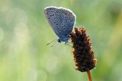 Aus der blauen Kiste gekramt...