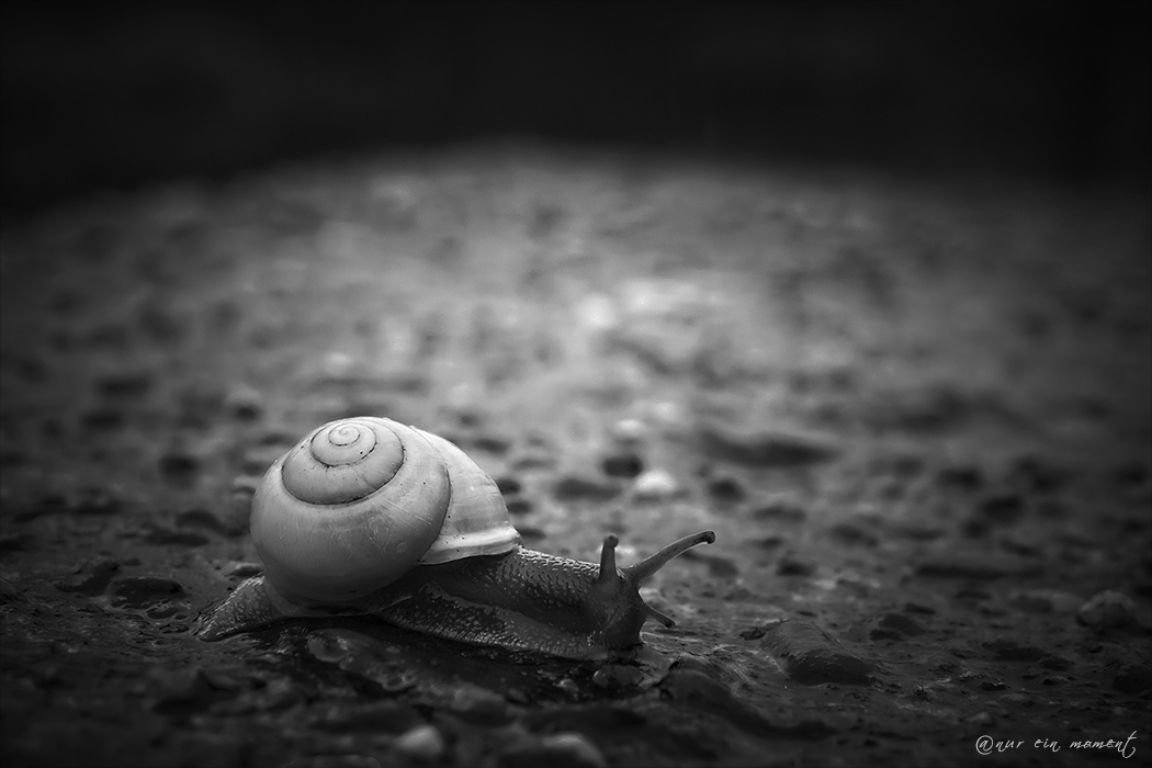 ° Aus der Dunkelheit brach ein Licht und erleuchtete meinen Weg °