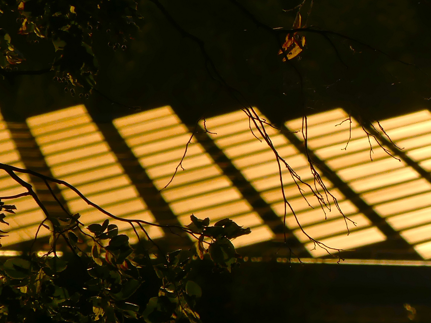 Aus der Ferne... Industriegelände bei Sonnenuntergang