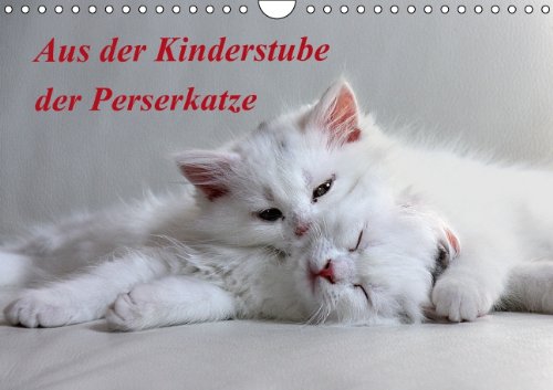 Aus der Kinderstube der Perserkatze