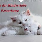 Aus der Kinderstube der Perserkatze