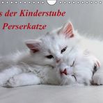 Aus der Kinderstube der Perserkatze