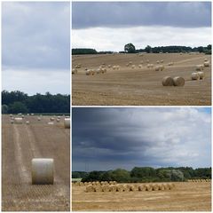 aus der Landwirtschaft