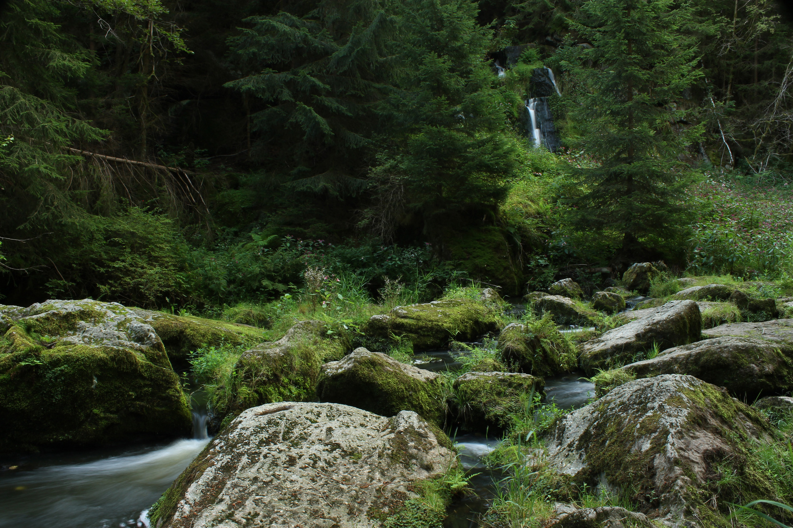 Aus der Mitte entspringt ein Fluss