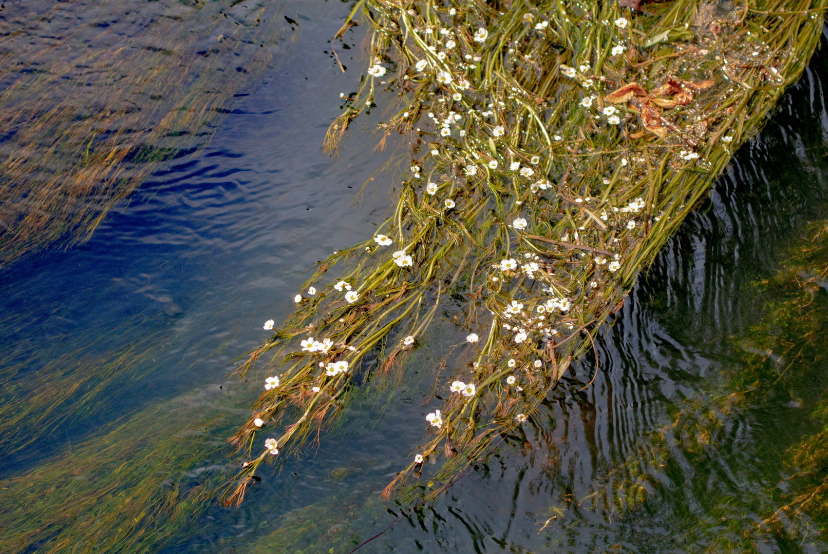 Aus der Mitte entspringt ein Fluss