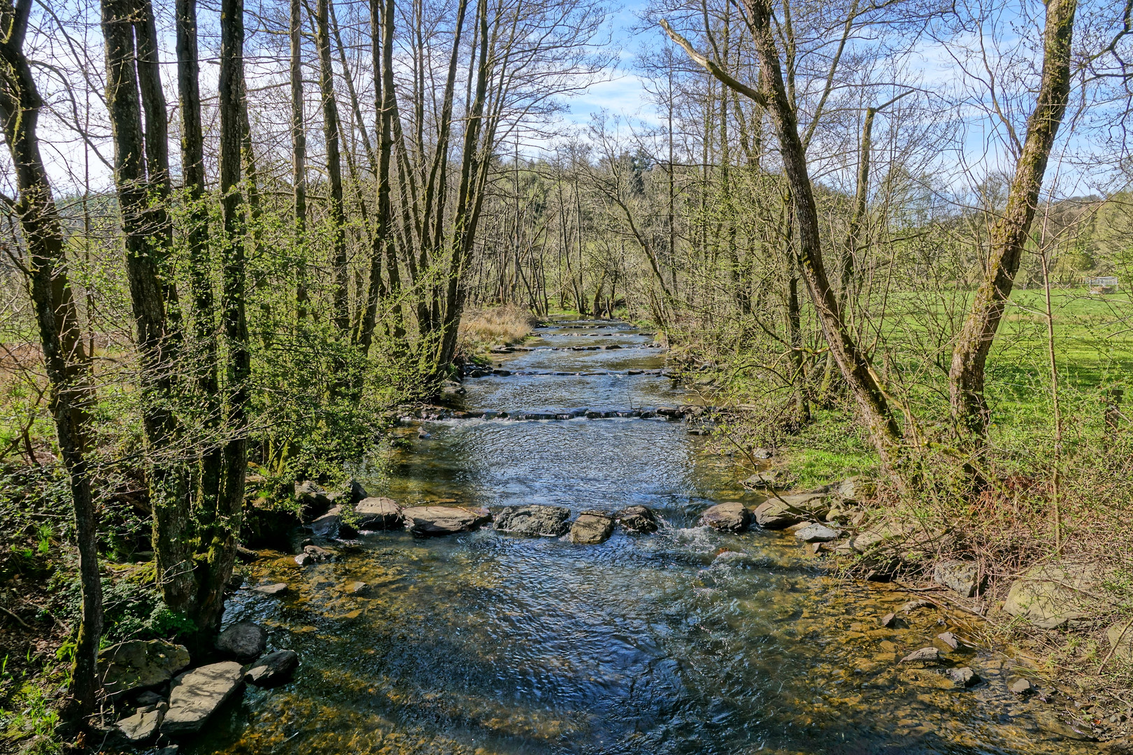 Aus der Mitte entspringt ein Fluss...