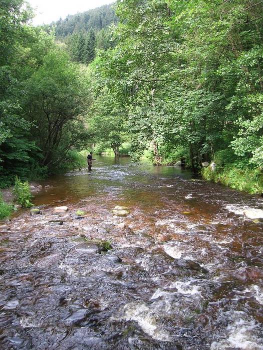 Aus der Mitte entspringt ein Fluss