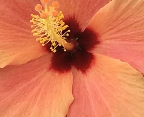 aus der Mitte heraus....