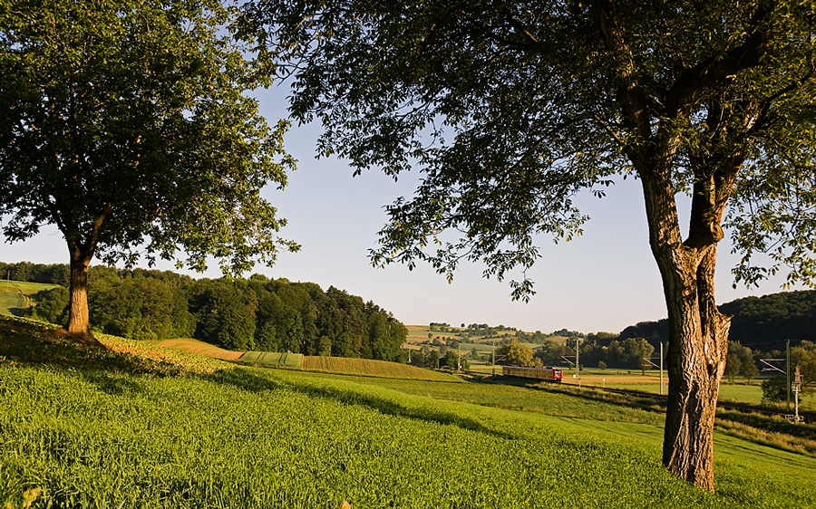 Aus der Quietschiehölle 2