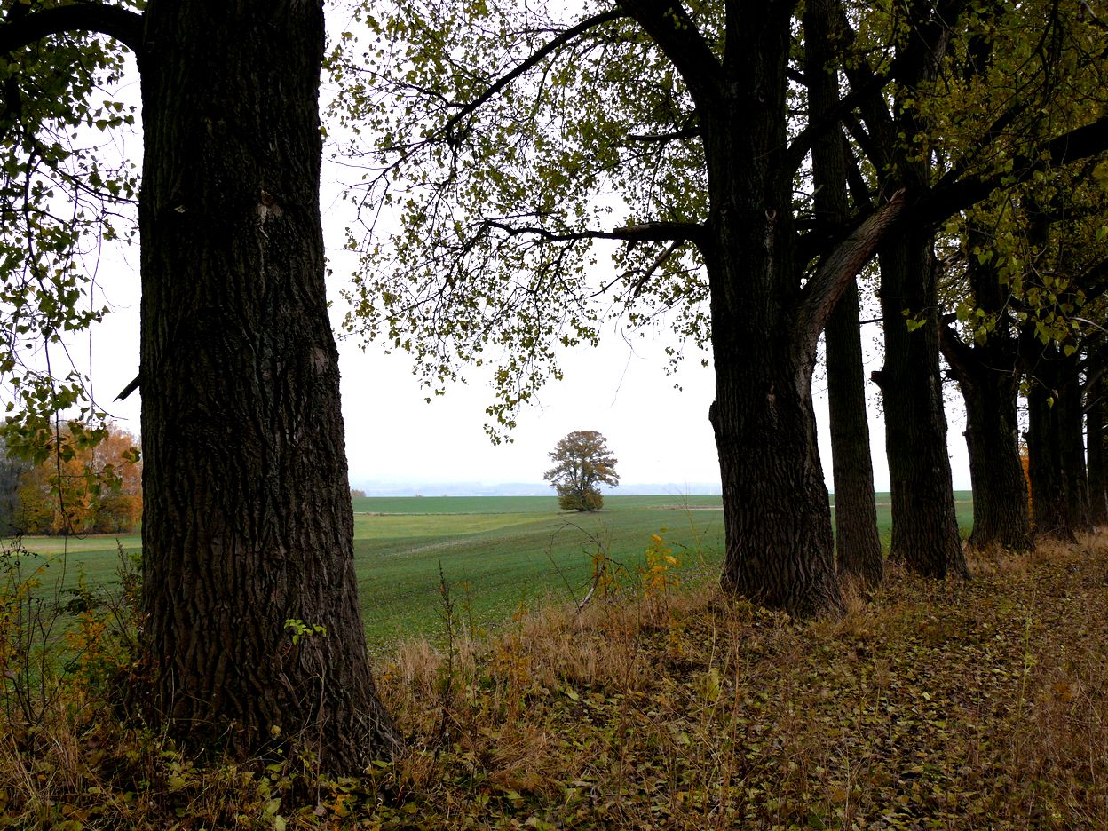 Aus der Reihe