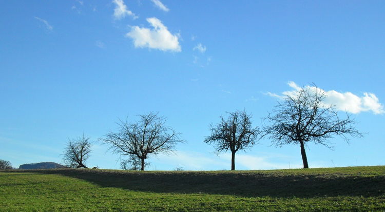 aus der Reihe fallen