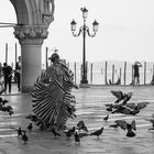 aus der Serie: morgens um 7 auf der Piazza San Marco in Venedig