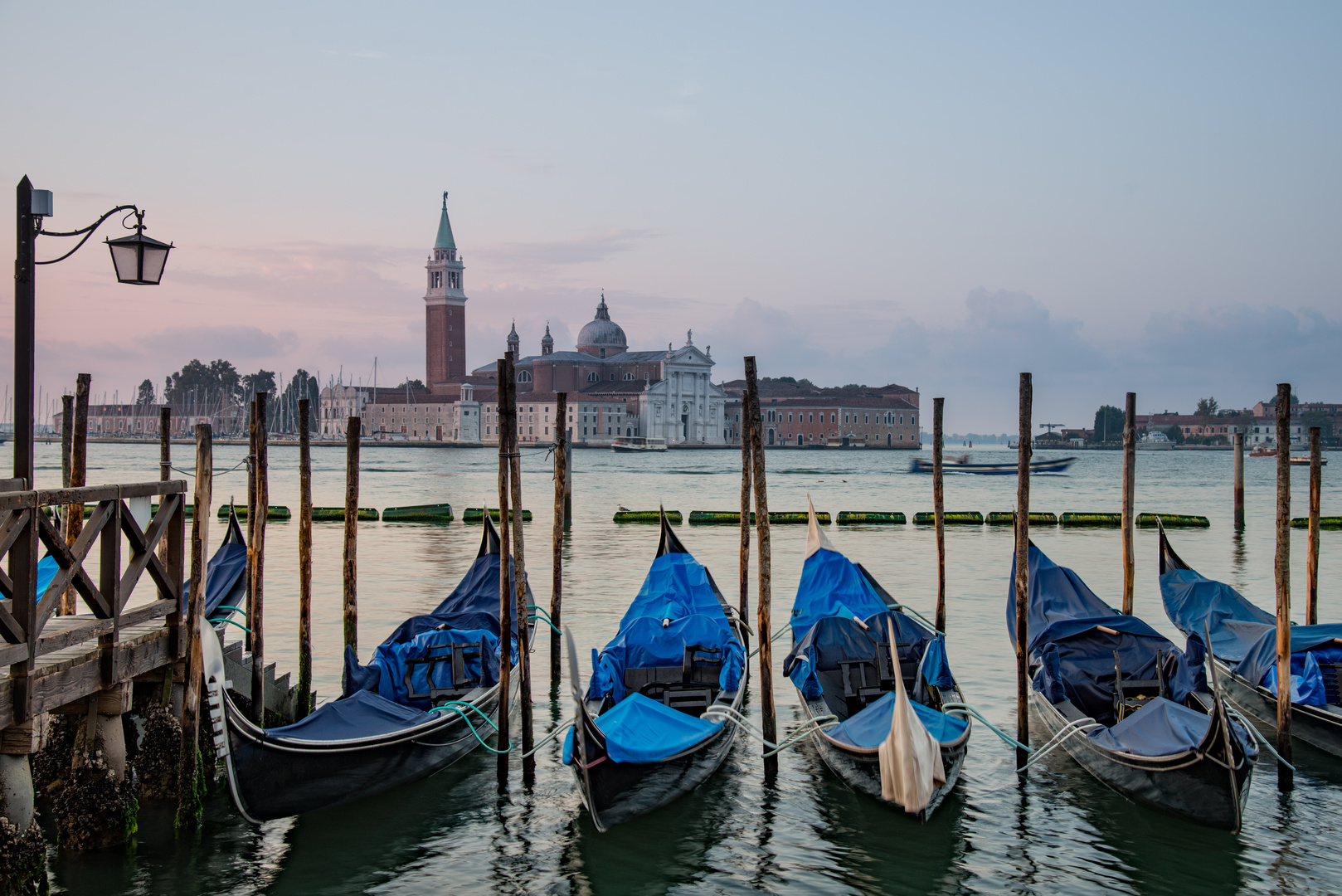 aus der Serie: morgens um 7 auf der Piazza San Marco in Venedig, ein Klassiker....