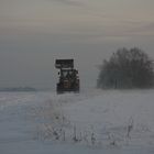 Aus der Stille ....tauchte er plötzlich auf..