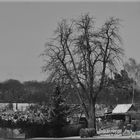 AUS DER STRAßENBAHN FOTOGRAFIERT