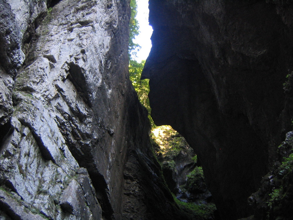 Aus der Tiefe der Breitachklamm