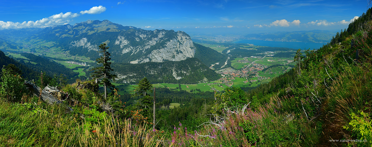 Aus der Vogelperspektive - 180° Pano