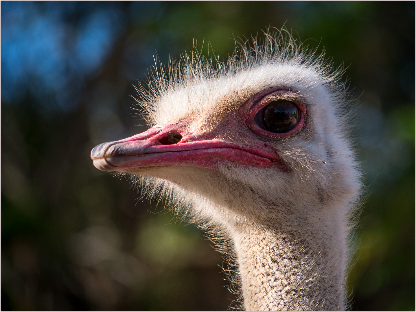 aus der Vogelperspektive