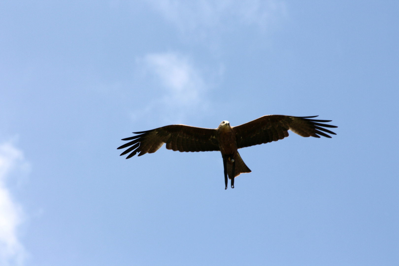 Aus der Vogelperspektive